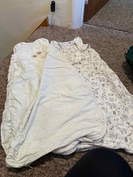 Photo of free 2 x summer bay sleeping bag (Oldfield Park BA2) #1