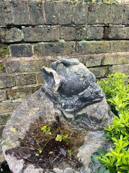 Photo of free Bird bath (Nunhead) #3