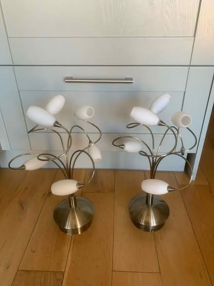 Photo of free Polished antique brass lights x 2 (CT11) #1