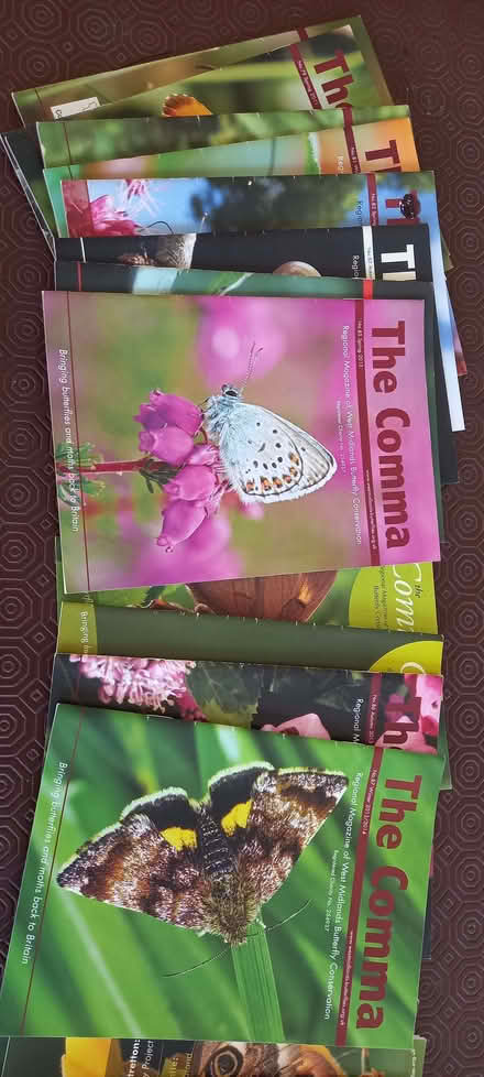 Photo of free Butterfly booklets (Dothill TF1) #2