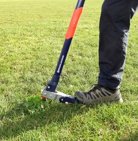 Photo of free weed puller (Lower Earley RG6) #3