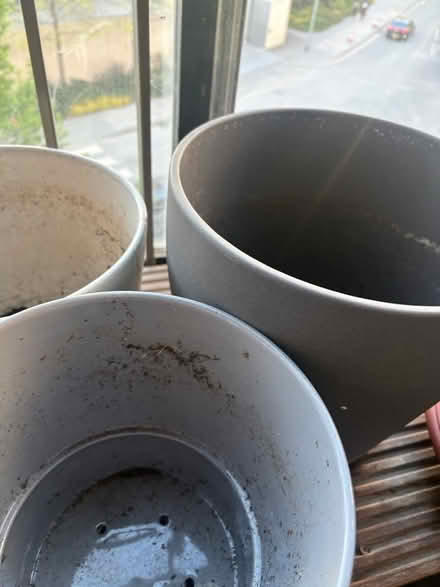 Photo of free Plant pots various (Vauxhall) #1