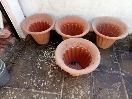 Photo of free Large planters (Seaside BN22) #2