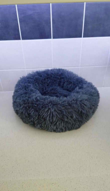 Photo of free Cat beds (Orton Goldhay PE2) #2
