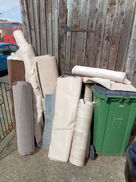 Photo of free Houseplants and carpet offcuts (Plumstead SE18) #3