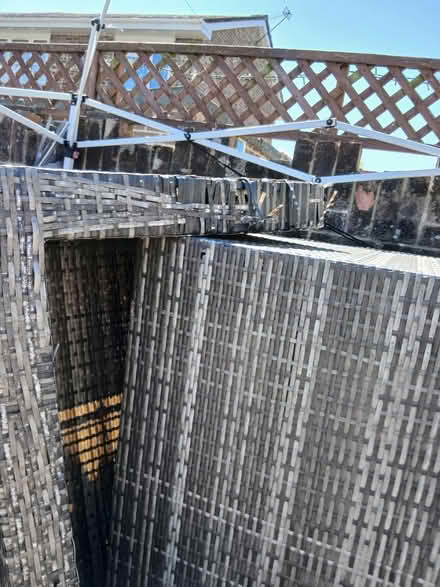 Photo of free Rattan (Po7 6et) #1