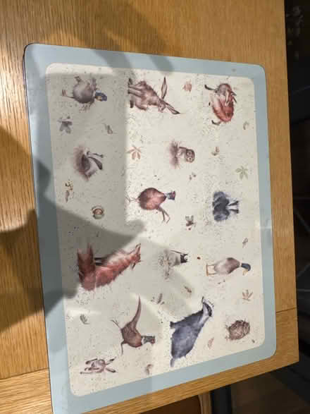 Photo of free Large table mats (Hove BN3) #1