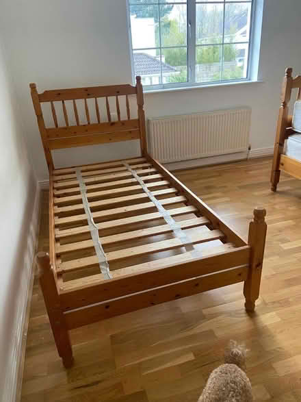 Photo of free Single Pine Beds (×2) (Clonskeagh) #2