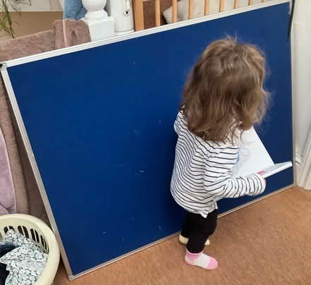 Photo of free Large noticeboard (Whitecross) #1