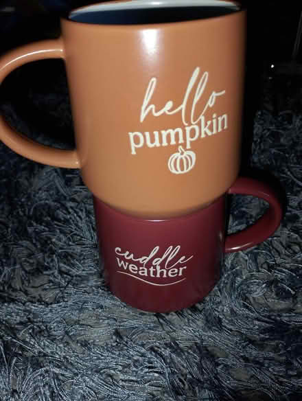 Photo of free Pair of autumn mugs (Chesser EH14) #2
