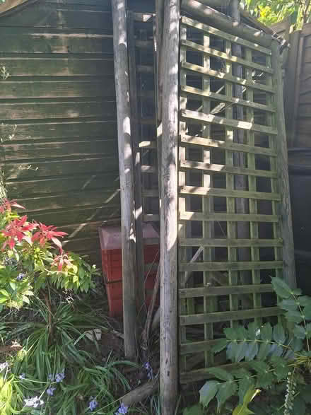 Photo of free Latticed garden panels (Kenilworth. School Lane) #1