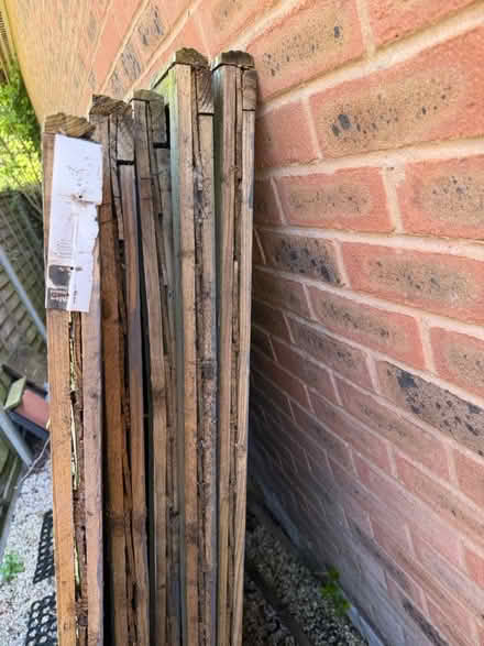 Photo of free Old Fence Panels (CH66) #2