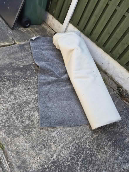 Photo of free Carpet (Stradbroke S13) #1