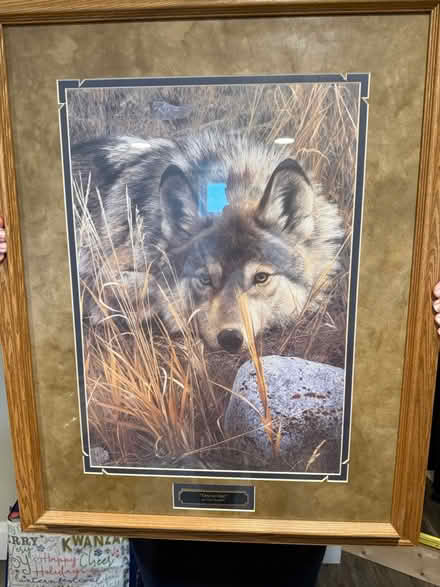 Photo of free Wolf Art (Parkville) #2