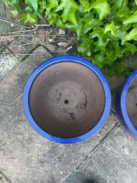 Photo of free 3 garden pots / planters (Teddington TW11) #2