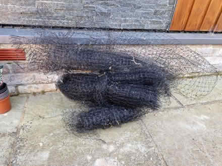 Photo of free Plastic netting (Rusthall, TN4) #1