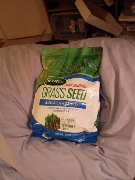 Photo of free Grass Seed (Birdland) #1