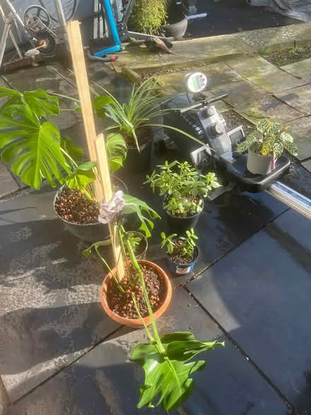 Photo of free Scrap (Halifax HX3) #4