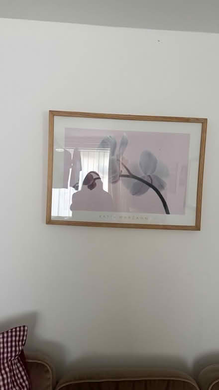 Photo of free Frame picture (Sale M33) #1