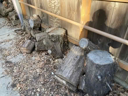 Photo of free Aged firewood (Near Highland Hospital) #1