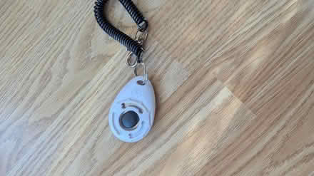 Photo of free Clicker for pet training (Southwark) #1