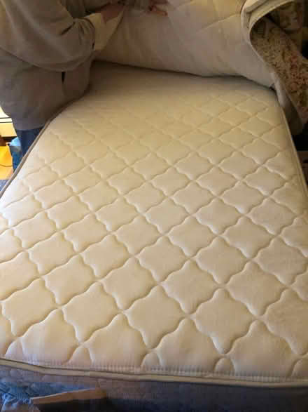Photo of free Twin Mattresses Like New (3) (Medfield) #2