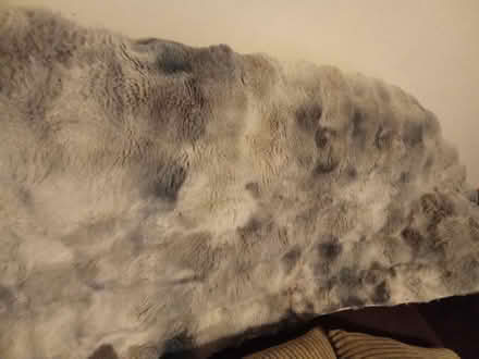 Photo of free Sofa cover (Willesborough) #1