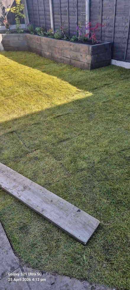 Photo of free Fresh Turf (Hednesford WS12) #2