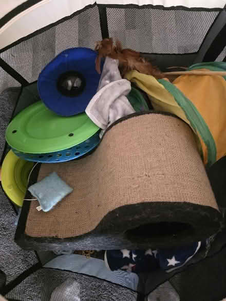 Photo of free 🐾 Free Cat Starter Bundle (Perfect for New Kitten Owner) – (Warden Hill LU2) #2