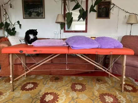 Photo of free Massagebeds throws pillows covers earplugs eyemasks (Old Radnor LD8) #4