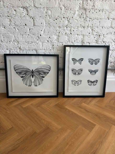 Photo of free Conran M&S Butterfly Prints (Mottingham, SE9 4SN) #1