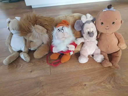 Photo of free Soft toys (Benfleet) #1