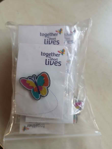 Photo of free Butterfly badges (Downley HP13) #1