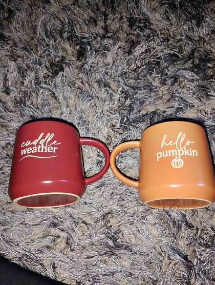 Photo of free Pair of autumn mugs (Chesser EH14) #1