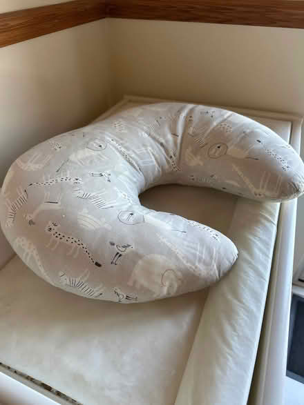 Photo of free Support pillow (Oldfield Park BA2) #1
