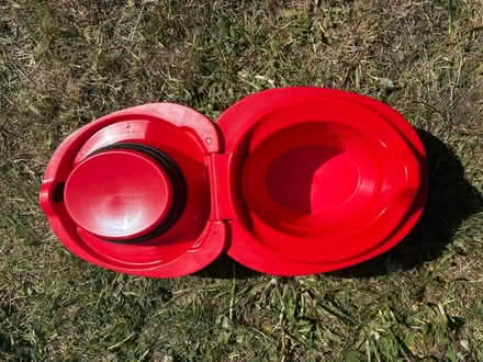 Photo of free My carry potty ladybird (Teddington TW11) #2