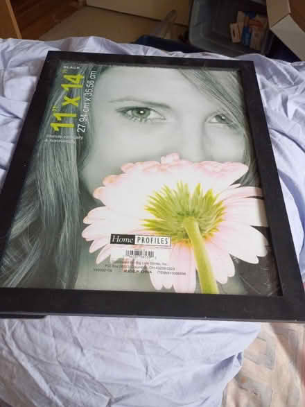 Photo of free Frame: New 11x14 (Birdland) #1