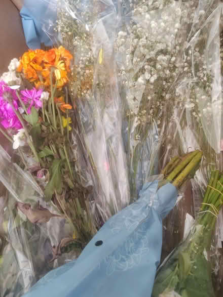 Photo of free Flowers (Loughton IG10) #1