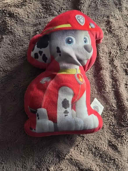 Photo of free Paw Patrol cushion (Theale RG7) #1