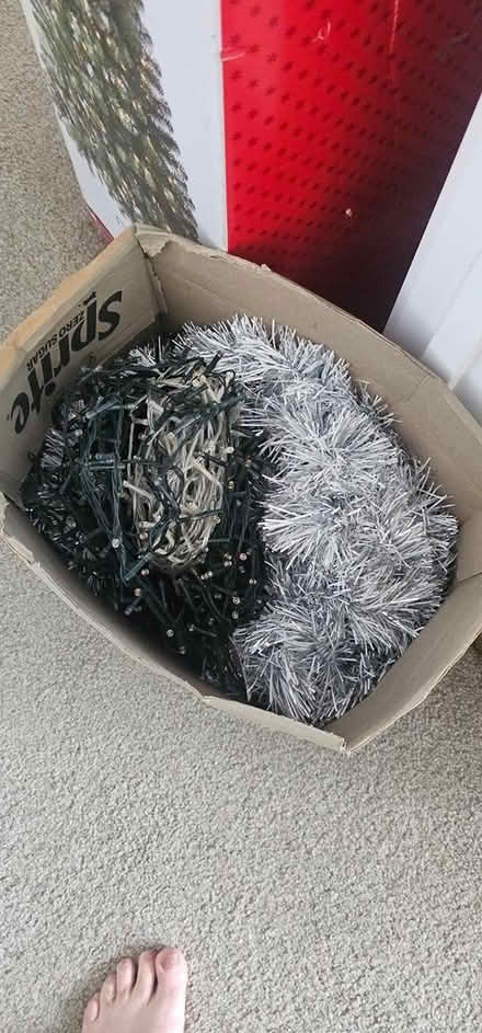 Photo of free xmas tree and lights (Orewa) #2