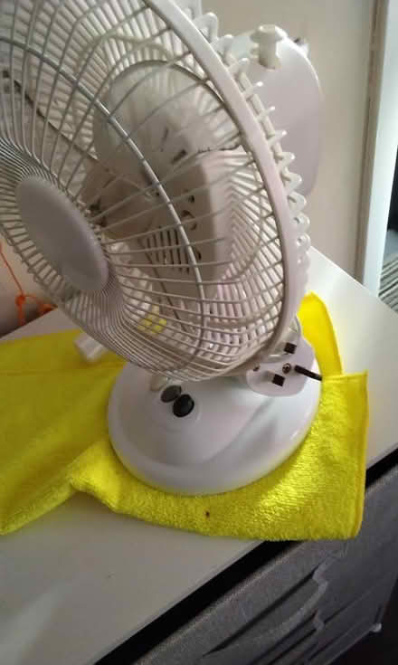 Photo of free Desktop fan (Spondon derby) #2