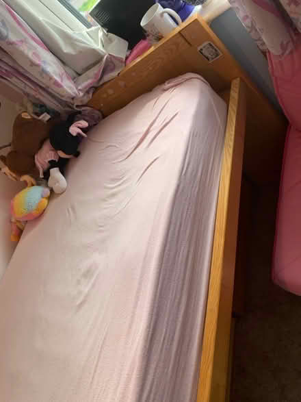 Photo of free Cabin storage bed (single) (Lifford, kings Norton B30) #3