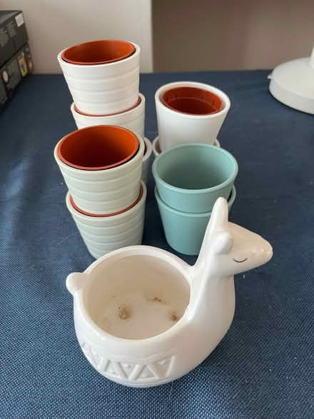 Photo of free Ceramic indoor pots : llama + 9 small pots (New Eltham SE9) #3