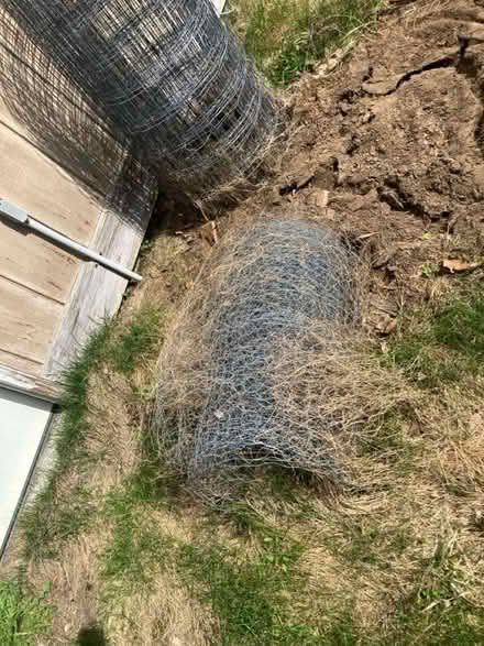 Photo of free Wire fences (Loudon) #2