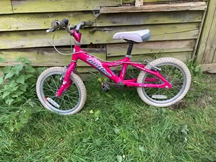 Photo of free Girls Bike age 4 up (Plumpton near Lewes) #1