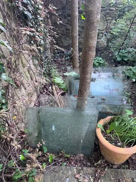 Photo of free Greenhouse Glass (Rathmines) #1