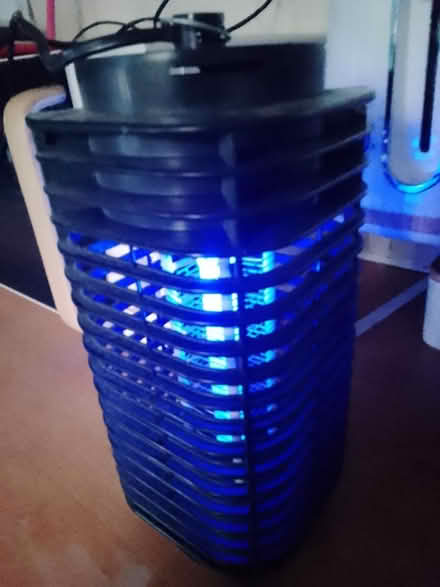 Photo of free Fly killer (Appleby-in-Westmorland CA16) #1