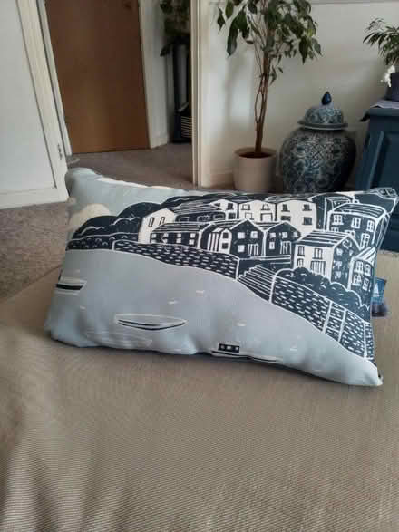 Photo of free Garden cushion (SO18 1GD) #1