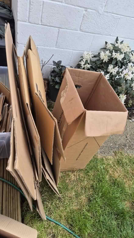 Photo of free Large cardboard boxes (Downham BR1) #1