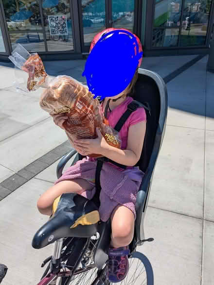 Photo of free Burley Dash FM child bike seat (Cherry Chase) #4